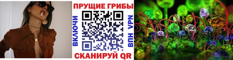 Псилоцибиновые грибы Psilocybe  где купить   Москва 